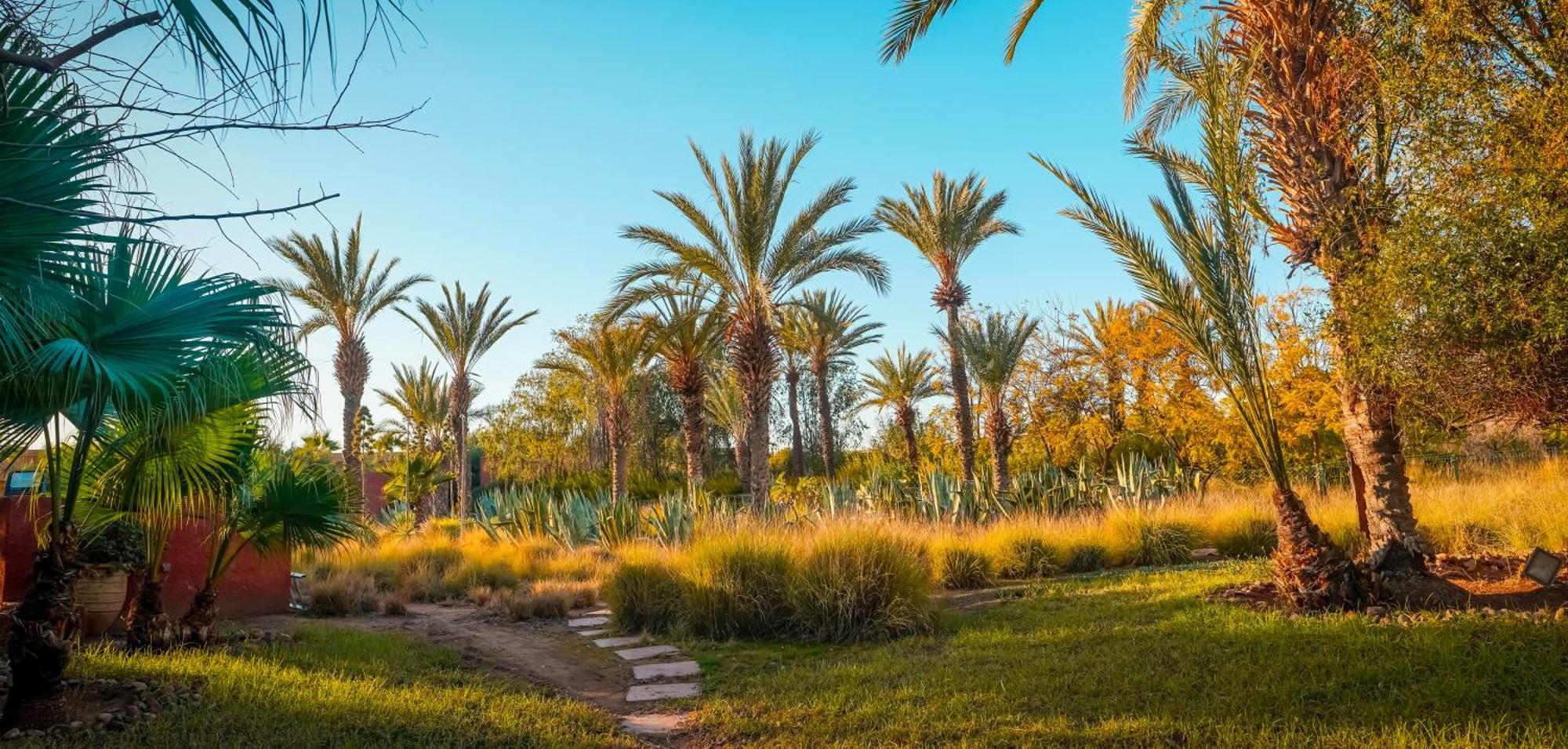 Jnan Lotf Marrakech - Le Jardin De La Bienviellance Hotel El Harkat Exterior photo