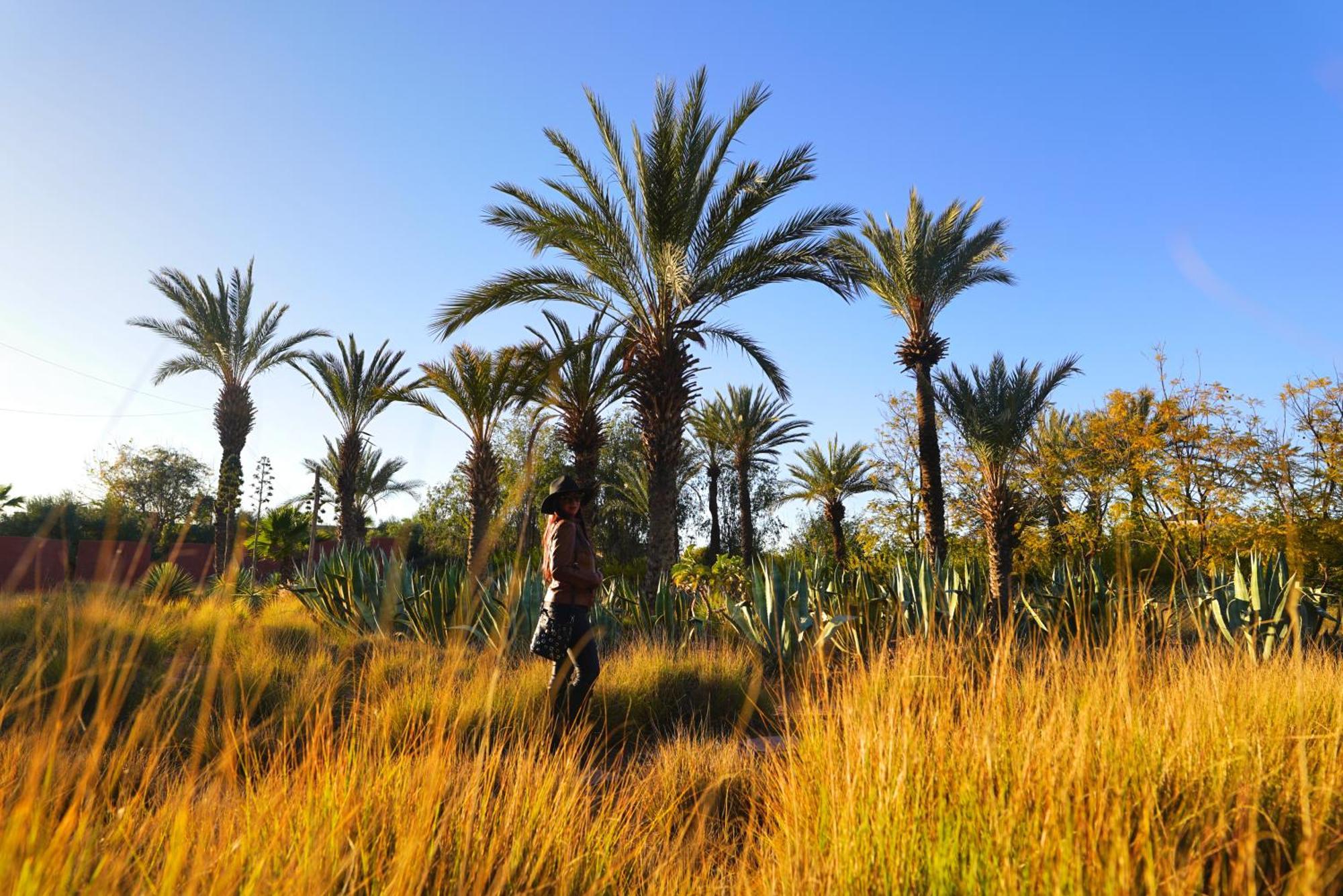 Jnan Lotf Marrakech - Le Jardin De La Bienviellance Hotel El Harkat Exterior photo